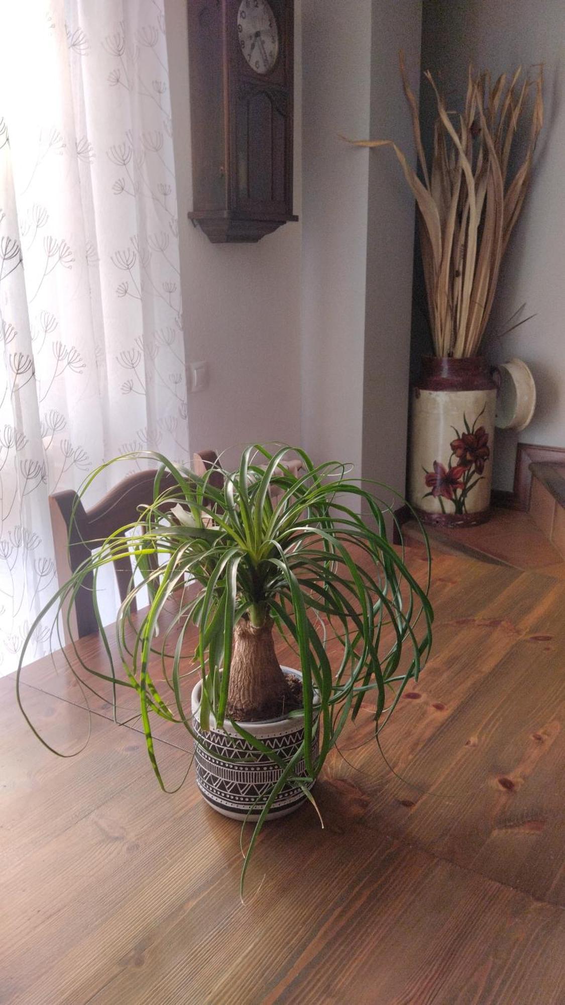 El Balcon De Villapresente Zewnętrze zdjęcie